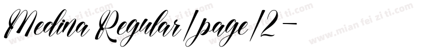 Medina Regular/page/2字体转换